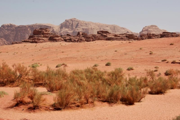 Jordanien - Highlights zwischen Meer & Wüste