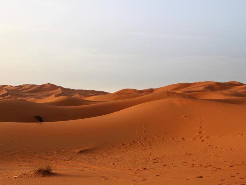 Erg Chebbi Wüste in Marokko