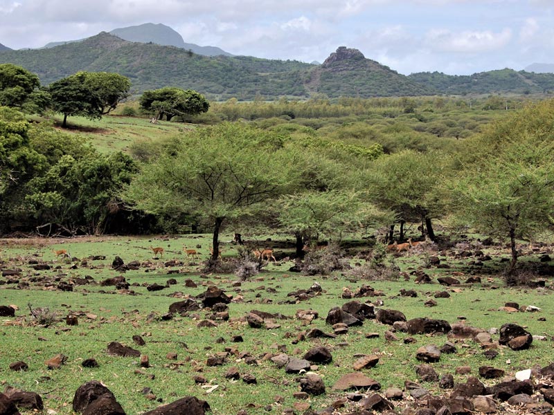 Landschaft Mauritius