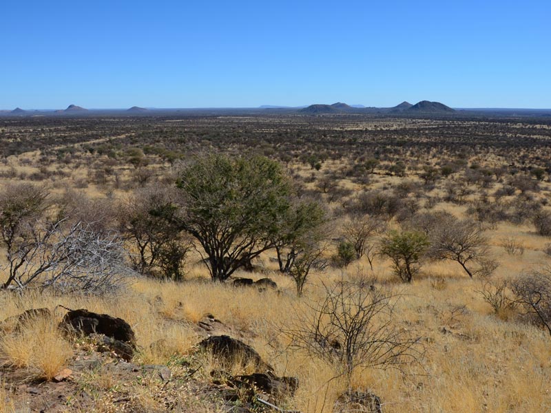 Ewige Weite in Namibia