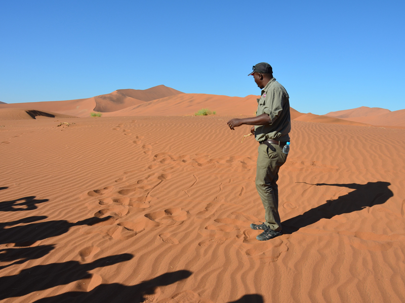 Isaak im Sossuvlei