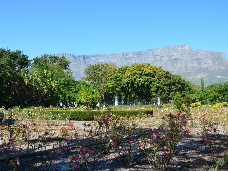 Blick auf Tafelberg