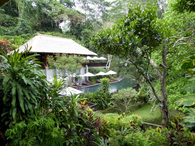 Hotel mitten im Regenwald von Ubud